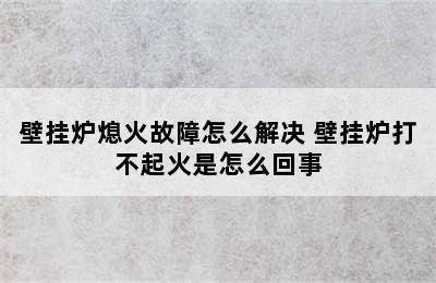 壁挂炉熄火故障怎么解决 壁挂炉打不起火是怎么回事